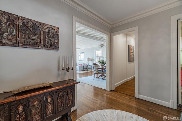 hallway featuring crown molding and dark hardwood / wood-style flooring