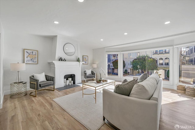 living room featuring light hardwood / wood-style flooring