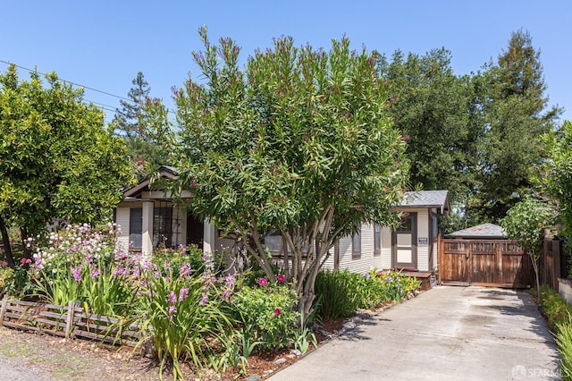 obstructed view of property with concrete driveway and fence