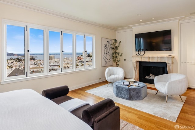 living room featuring a premium fireplace, wood finished floors, baseboards, and ornamental molding