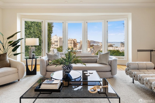 living room featuring wood finished floors and ornamental molding