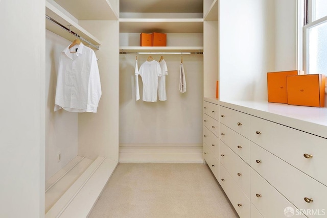 walk in closet with light carpet