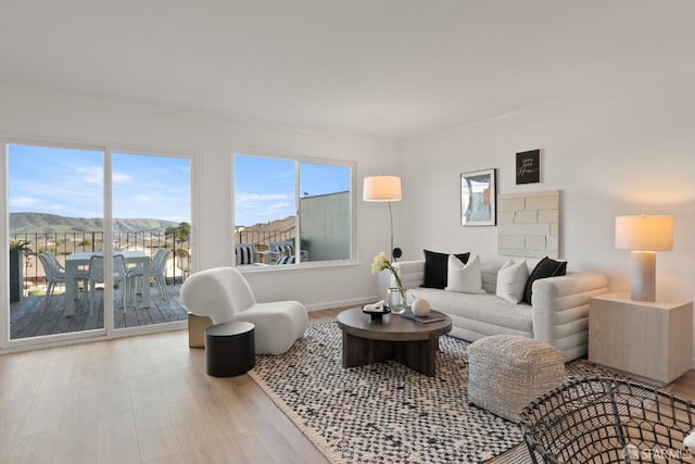 living room featuring light hardwood / wood-style flooring and a mountain view