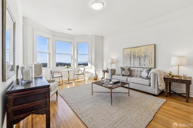1015 Ashbury St Unit 4, San Francisco, CA 94117 - living room with light wood finished floors and baseboards