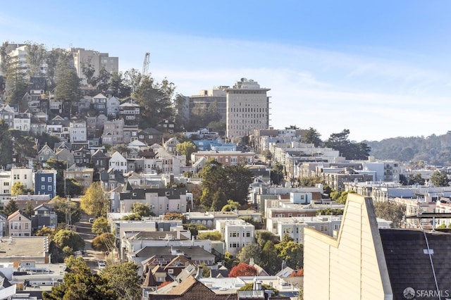 1015 Ashbury St Unit 4, San Francisco, CA 94117 - view of city