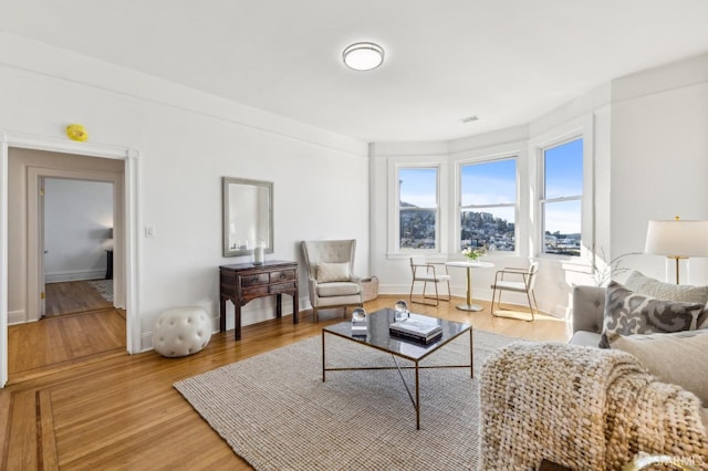 1015 Ashbury St Unit 4, San Francisco, CA 94117 - living room featuring light wood-style flooring and baseboards