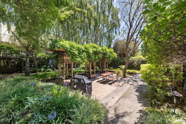 120 Landers St Unit D, San Francisco, CA 94114 - view of patio