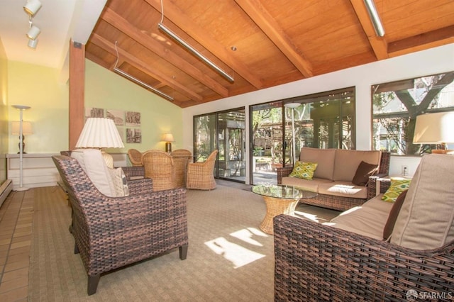 120 Landers St Unit D, San Francisco, CA 94114 - living area featuring carpet floors, wood ceiling, and rail lighting