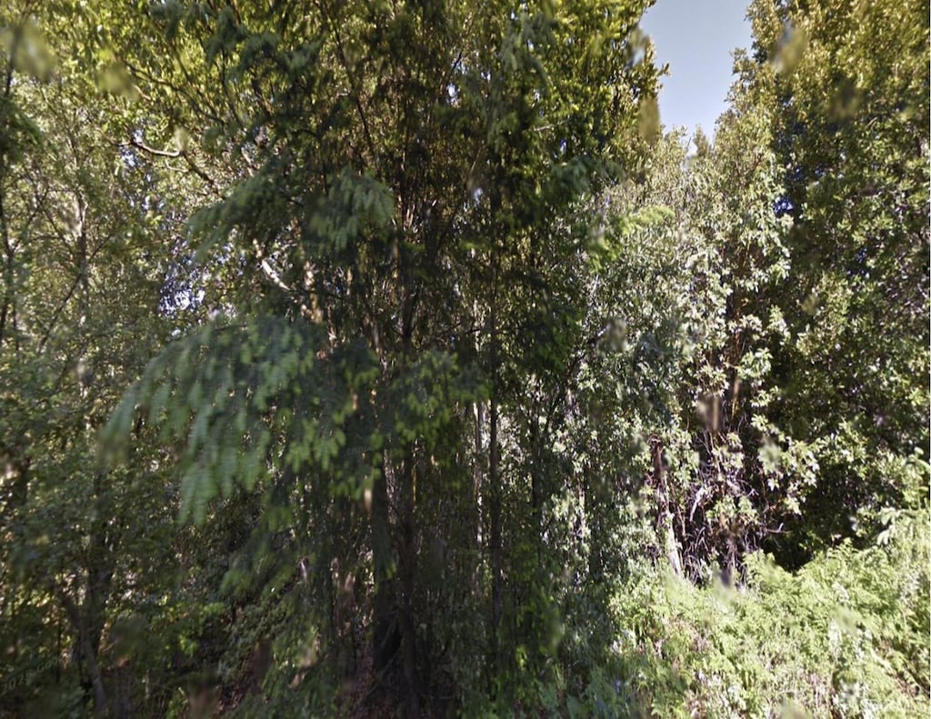 258 Burns Ct, Whitethorn, CA 95589