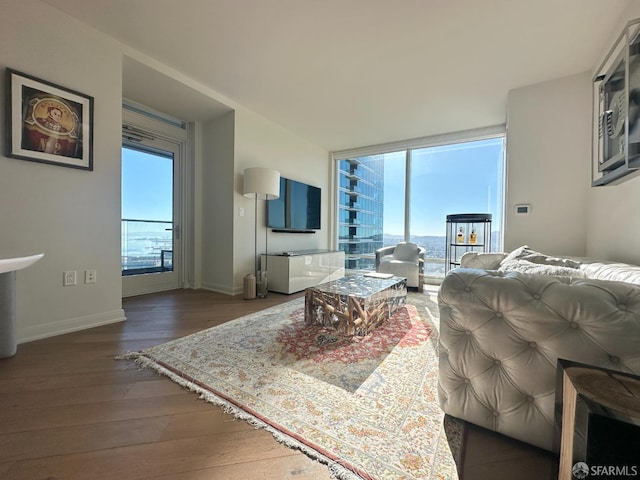 living room featuring floor to ceiling windows and dark wood-type flooring