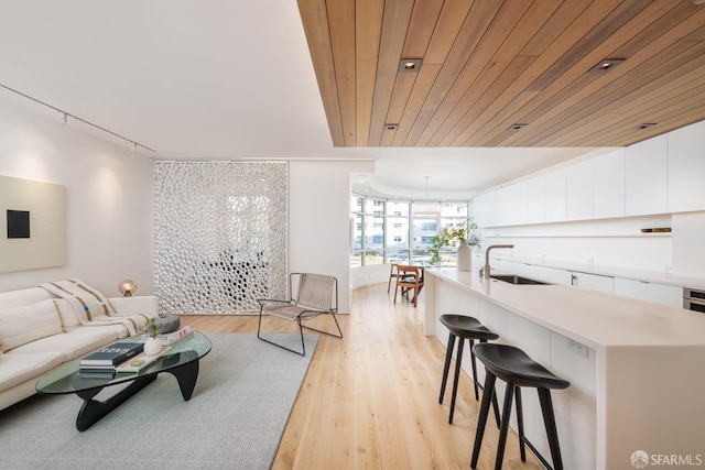 38 Bryant St Unit 405, San Francisco, CA 94105 - living room featuring track lighting and light wood-style floors