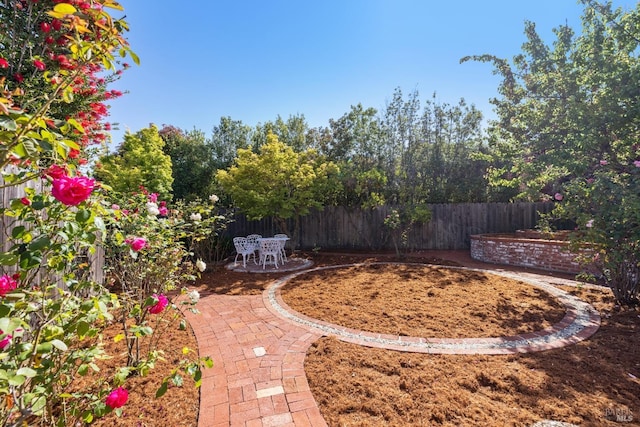7 Hearthstone Ct, San Rafael, CA 94903 - view of yard featuring a patio area and fence