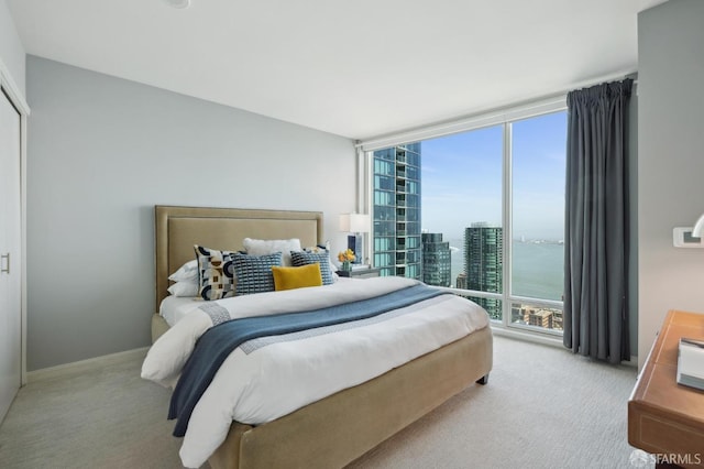 bedroom featuring expansive windows, carpet flooring, a city view, and multiple windows