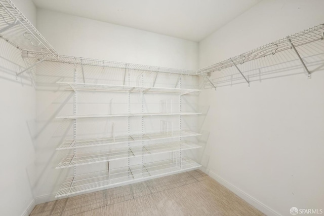 walk in closet with carpet floors