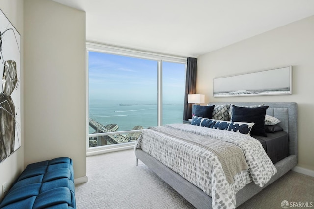 carpeted bedroom with a water view