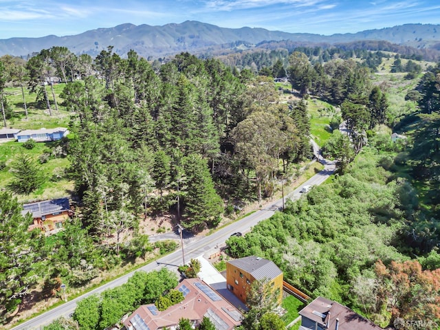 1841 Sunshine Valley Rd, Moss Beach, CA 94038 - photo 33