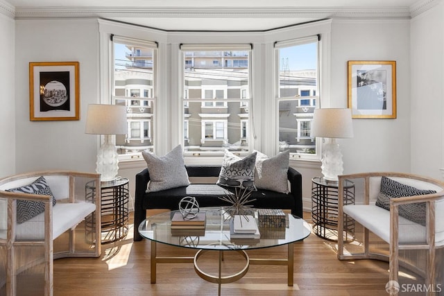 1998 Vallejo St Unit 2, San Francisco, CA 94123 - living area featuring crown molding and wood finished floors