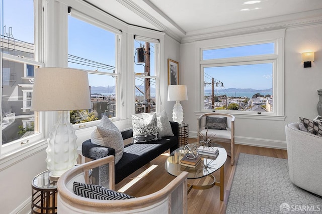 1998 Vallejo St Unit 2, San Francisco, CA 94123 - living room with a mountain view, wood finished floors, and ornamental molding