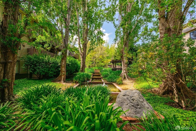 6148 Shelter Creek Ln, San Bruno, CA 94066 - photo 34