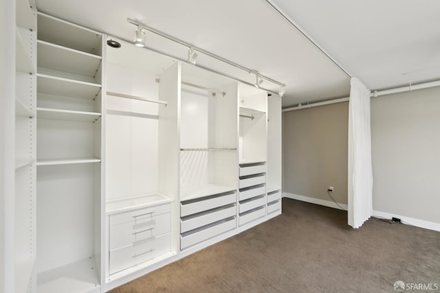 spacious closet with dark colored carpet