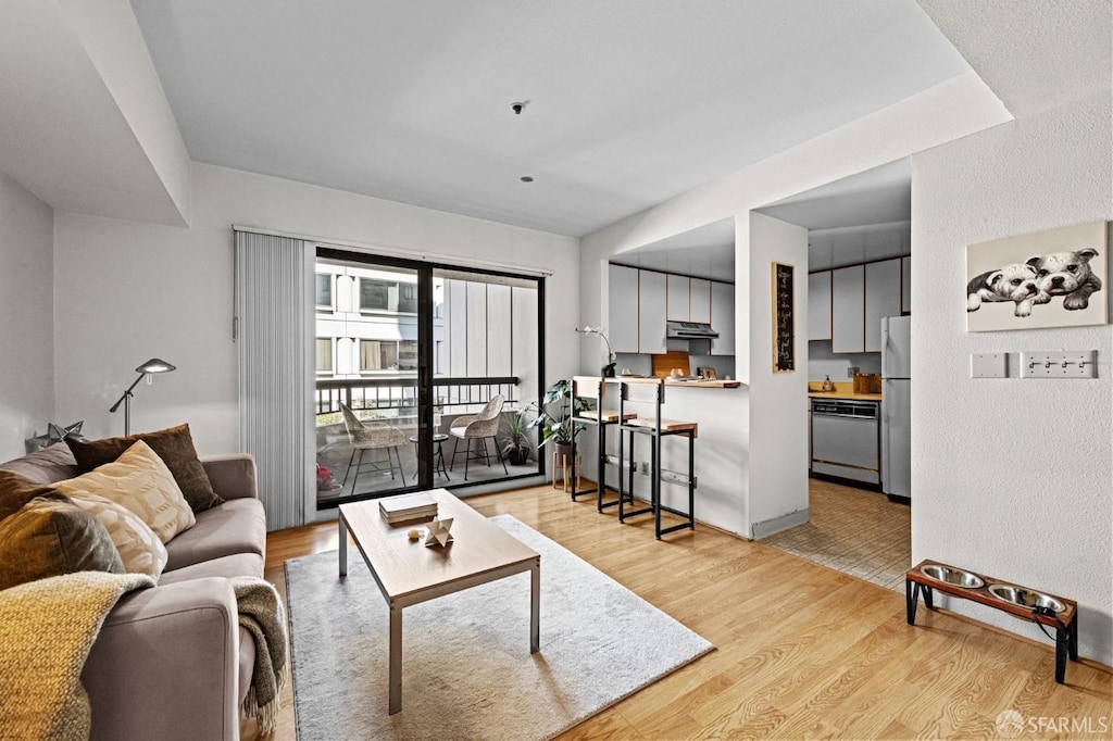 601 Van Ness Ave Unit 208, San Francisco, CA 94102 - living room with light hardwood / wood-style floors