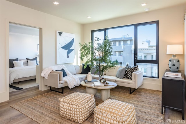 living room featuring hardwood / wood-style floors