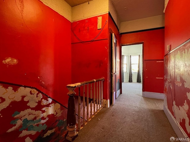 hall featuring carpet
