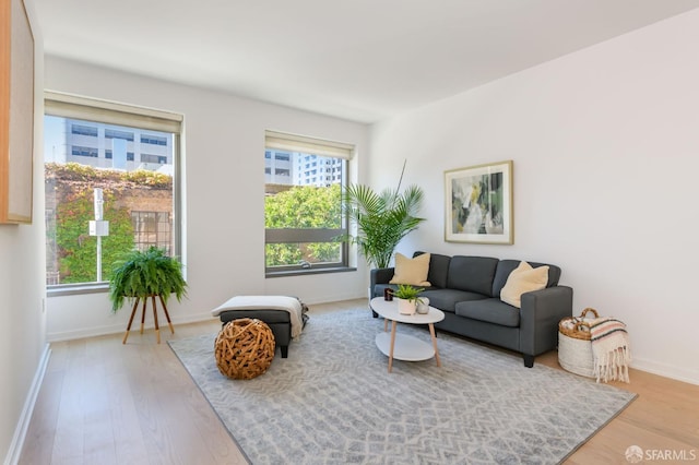 living room featuring light hardwood / wood-style flooring