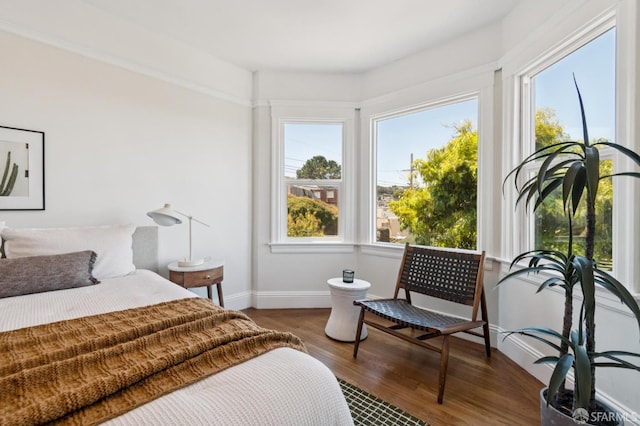 284 Allison St, San Francisco, CA 94112 - photo 50