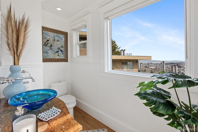 bathroom with baseboards, toilet, wood finished floors, crown molding, and a sink