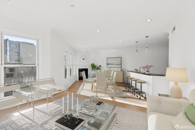 living room featuring light wood-type flooring