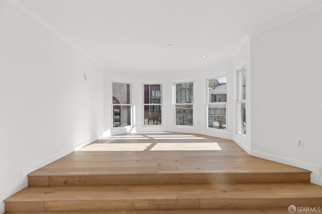 interior space with crown molding