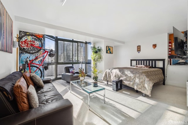 bedroom featuring carpet