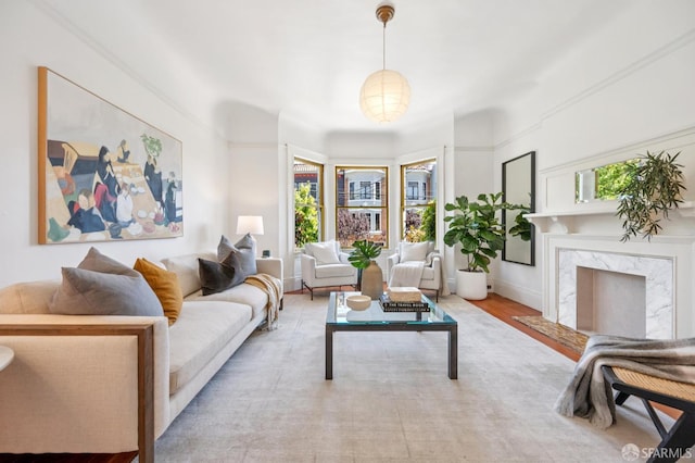 670 Page St, San Francisco, CA 94117 - living room with plenty of natural light, a high end fireplace, and wood finished floors