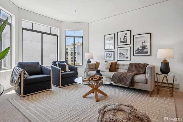 1805 Fillmore St Unit 302, San Francisco, CA 94115 - carpeted living area with a baseboard radiator