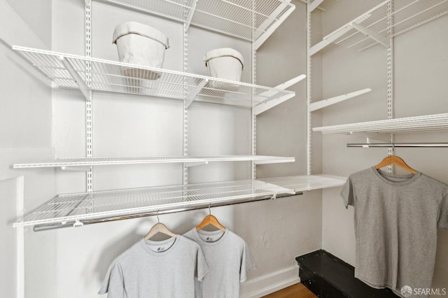 view of walk in closet