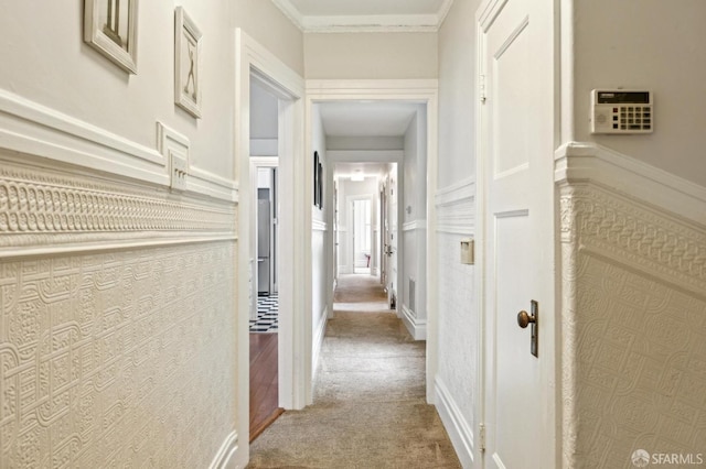 hall with ornamental molding and carpet flooring