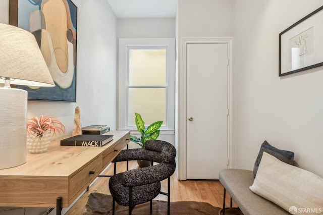 office featuring a wealth of natural light and light wood-type flooring