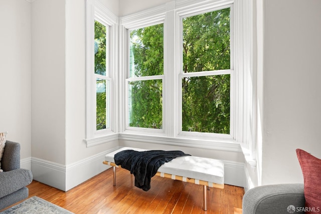 2553 Folsom St Unit A, San Francisco, CA 94110 - living area with healthy amount of natural light and wood finished floors