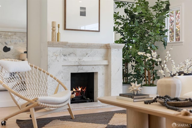 803 Vermont St, San Francisco, CA 94107 - living room with a fireplace and wood finished floors