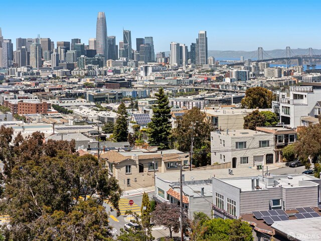 803 Vermont St, San Francisco, CA 94107 - view of city skyline
