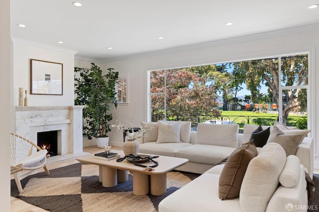 803 Vermont St, San Francisco, CA 94107 - living room with healthy amount of natural light, wood finished floors, recessed lighting, a high end fireplace, and crown molding