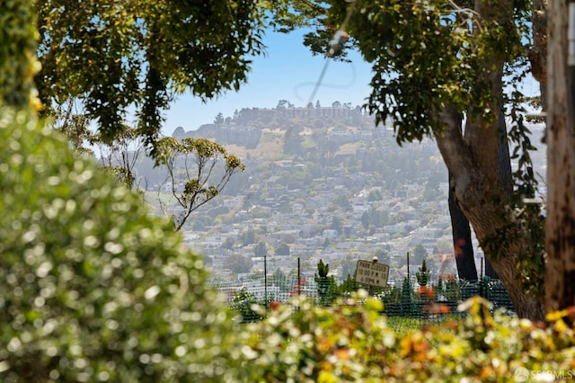803 Vermont St, San Francisco, CA 94107 - view of mountain backdrop