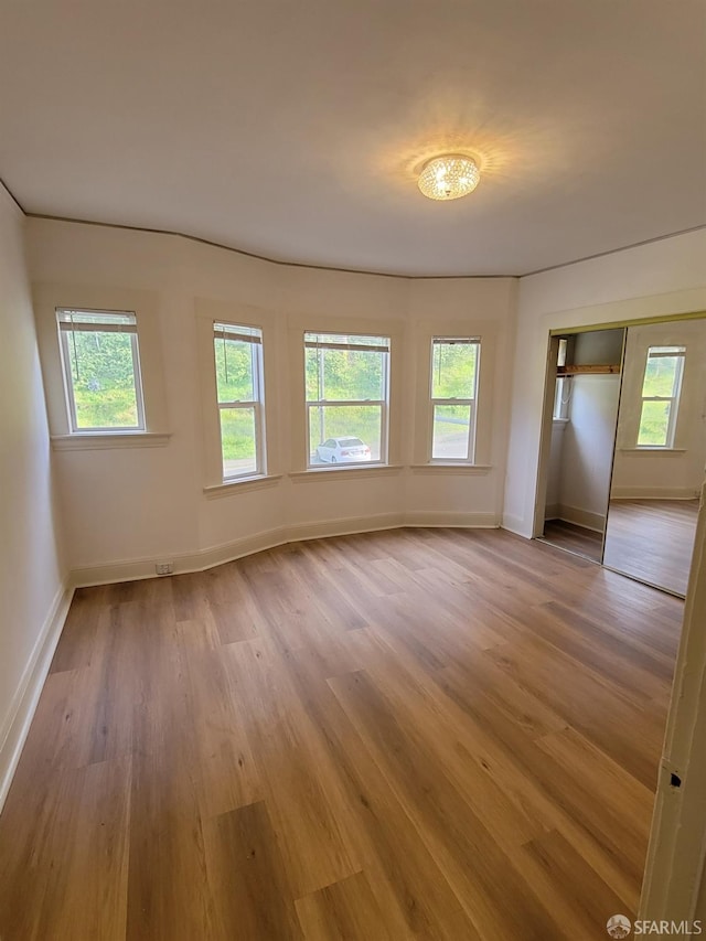 spare room with light wood-type flooring and a wealth of natural light