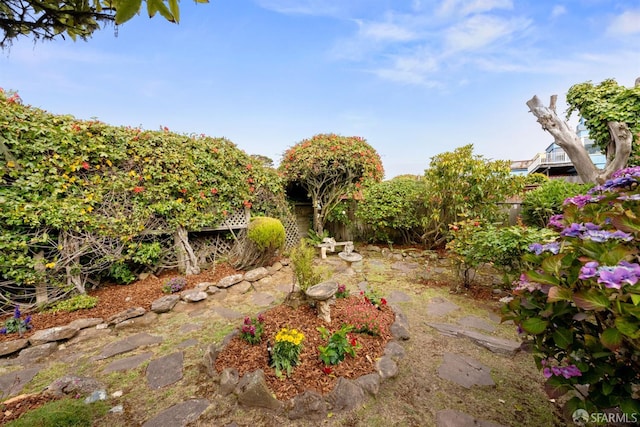 245 Skyline Dr, Daly City, CA 94015 - view of yard