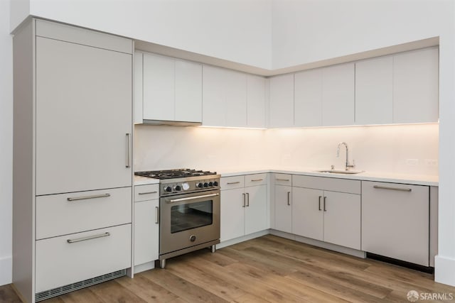 kitchen with light wood-style floors, light countertops, a sink, and high end stainless steel range