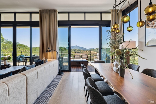 living area featuring hardwood / wood-style floors, a mountain view, and a wall of windows