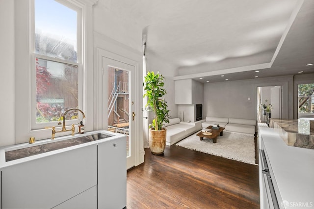kitchen with a sink, wood finished floors, and white cabinetry