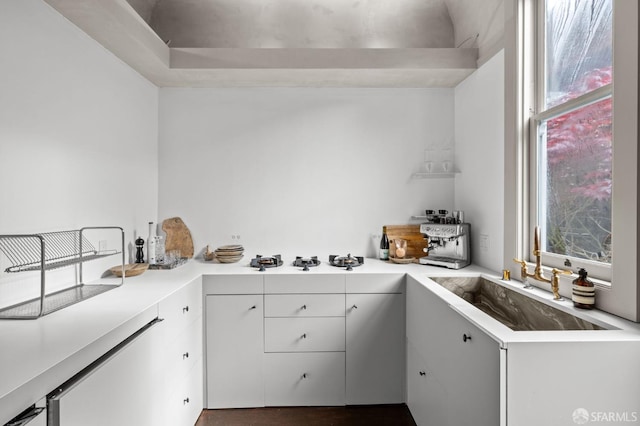 kitchen featuring a sink, a wealth of natural light, and light countertops