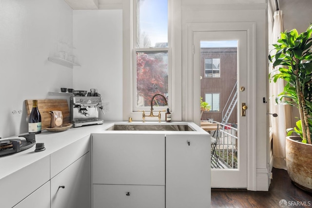 washroom featuring a sink and dark wood-type flooring